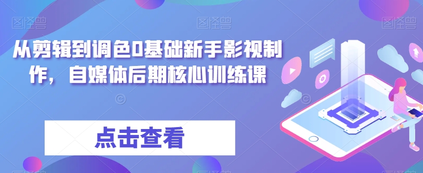 从剪辑到调色0基础新手影视制作，自媒体后期核心训练课-摸金项目网