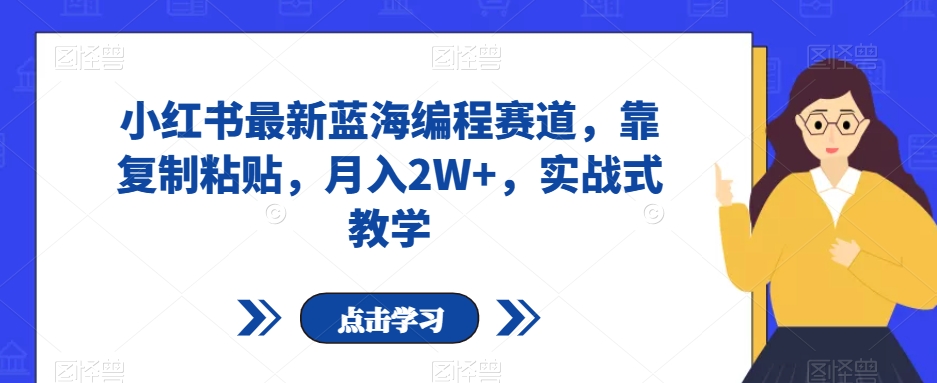 小红书最新蓝海编程赛道，靠复制粘贴，月入2W+，实战式教学【揭秘】-摸金项目网