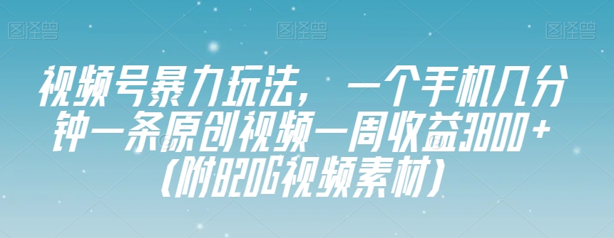 视频号暴力玩法，一个手机几分钟一条原创视频一周收益3800+（附820G视频素材）-摸金项目网