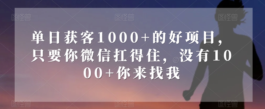 单日获客1000+的好项目，只要你微信扛得住，没有1000+你来找我【揭秘】-摸金项目网