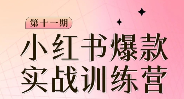 小红书博主爆款训练营第11期，手把手教你从0-1做小红书，从定位到起号到变现-摸金项目网