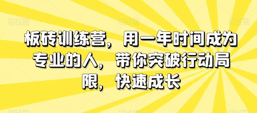 板砖训练营，用一年时间成为专业的人，带你突破行动局限，快速成长-摸金项目网