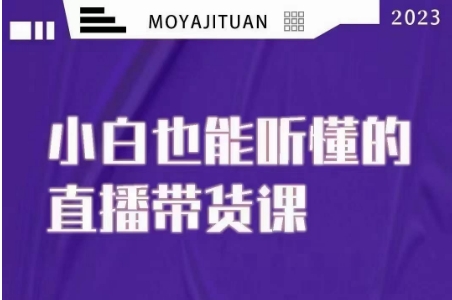 大威本威·能听懂的直播带货课，小白也能听懂，20节完整-摸金项目网