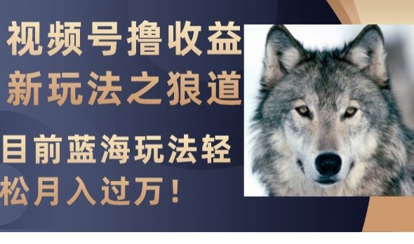 视频号撸收益新玩法之狼道，目前蓝海玩法，轻松月入过万【揭秘】-摸金项目网