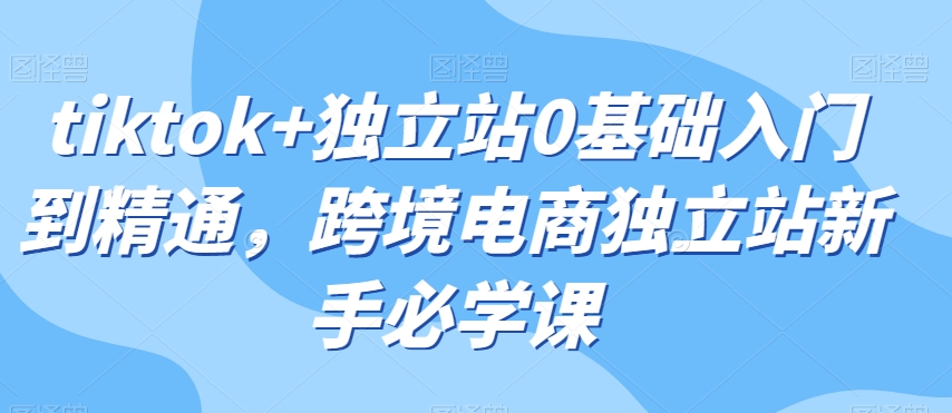 tiktok+独立站0基础入门到精通，跨境电商独立站新手必学课-摸金项目网