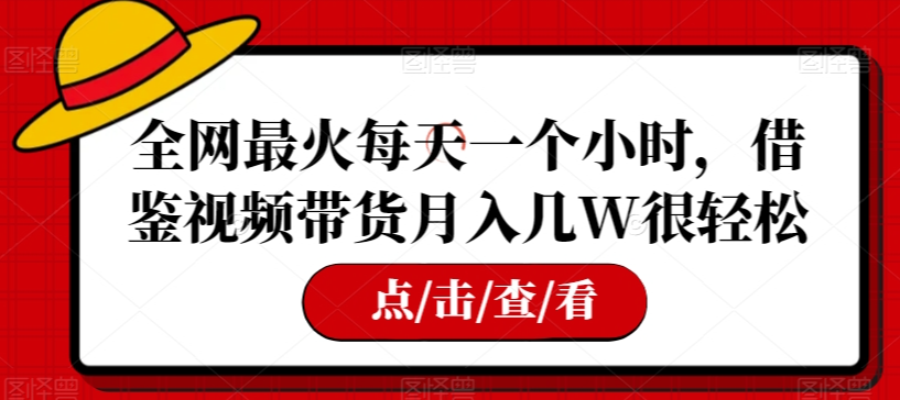 全网最火每天一个小时，借鉴视频带货月入几W很轻松【揭秘】-摸金项目网