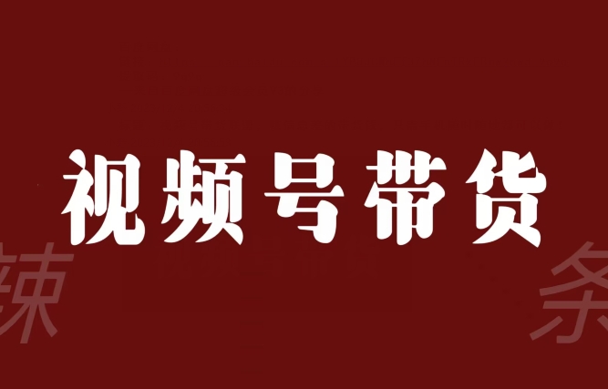 视频号带货联盟，赚信息差的带货钱，只需手机随时随地都可以做！-摸金项目网