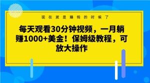 每天观看30分钟视频，一月躺赚1000+美金！保姆级教程，可放大操作【揭秘】-摸金项目网