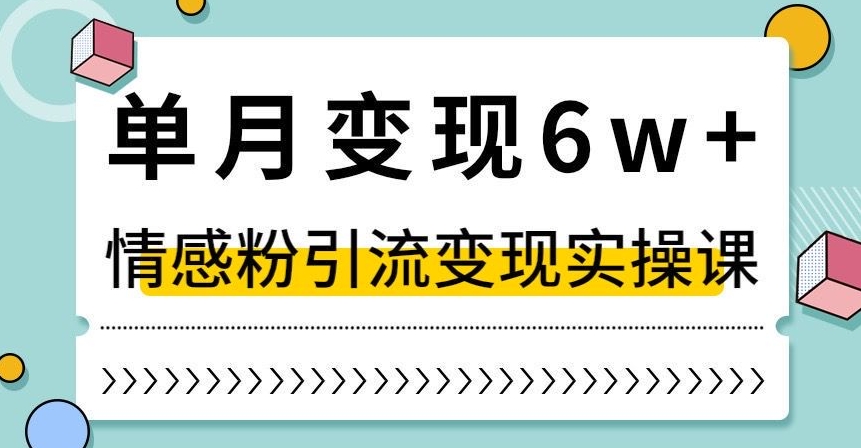单月变现6W+，抖音情感粉引流变现实操课，小白可做，轻松上手，独家赛道【揭秘】-摸金项目网