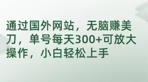 通过国外网站，无脑赚美刀，单号每天300+可放大操作，小白轻松上手【揭秘】-摸金项目网
