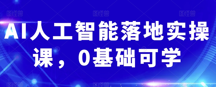 AI人工智能落地实操课，0基础可学-摸金项目网