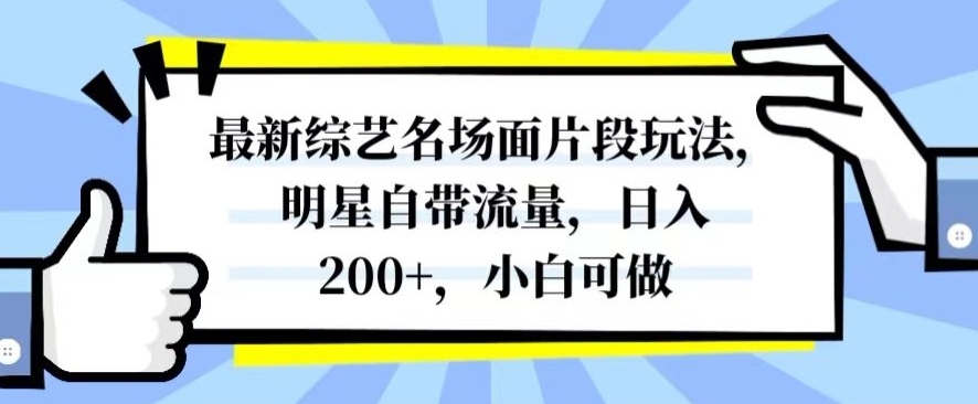 最新综艺名场面片段玩法，明星自带流量，日入200+，小白可做【揭秘】-摸金项目网