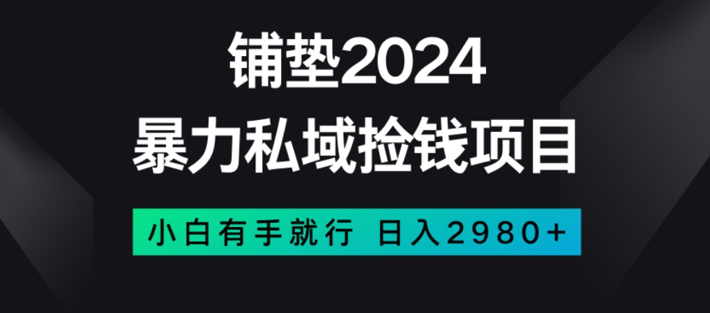 暴力私域捡钱项目，小白无脑操作，日入2980【揭秘】-摸金项目网