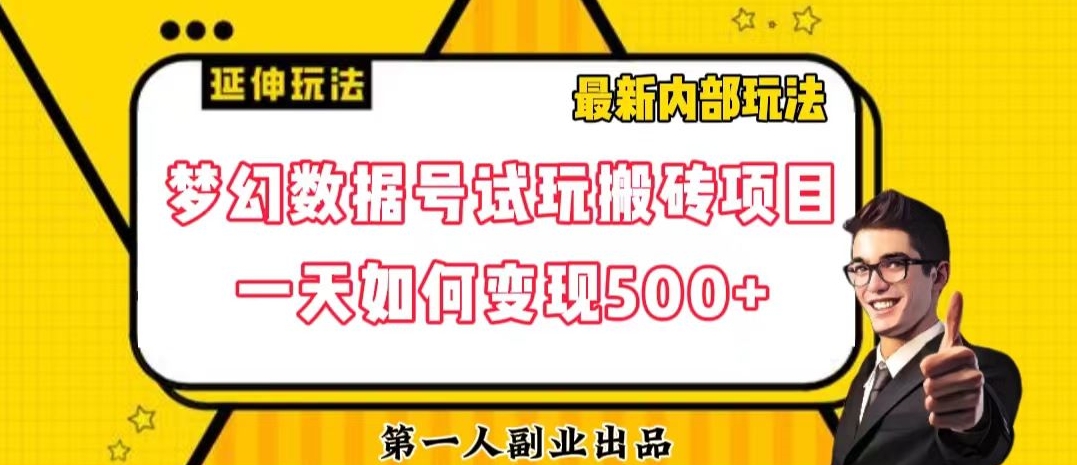 数据号回归玩法游戏试玩搬砖项目再创日入500+【揭秘】-摸金项目网
