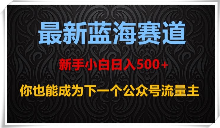 最新蓝海赛道，新手小白日入500+，你也能成为下一个公众号流量主【揭秘】-摸金项目网