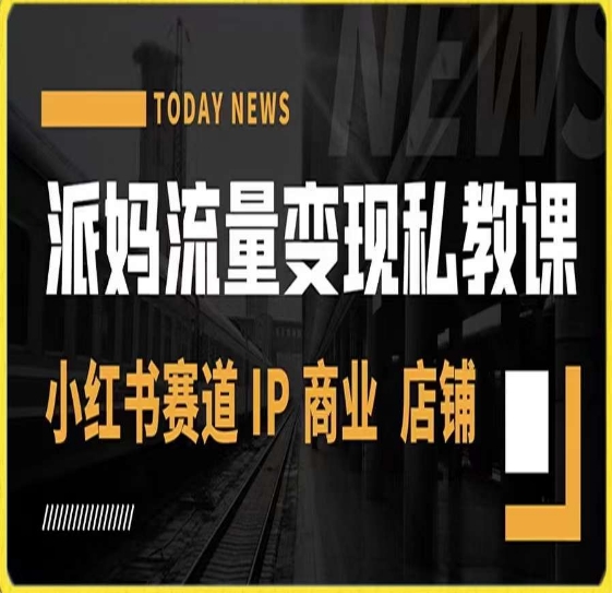 派妈流量变现私教课，小红书赛道IP  商业  店铺 -摸金项目网