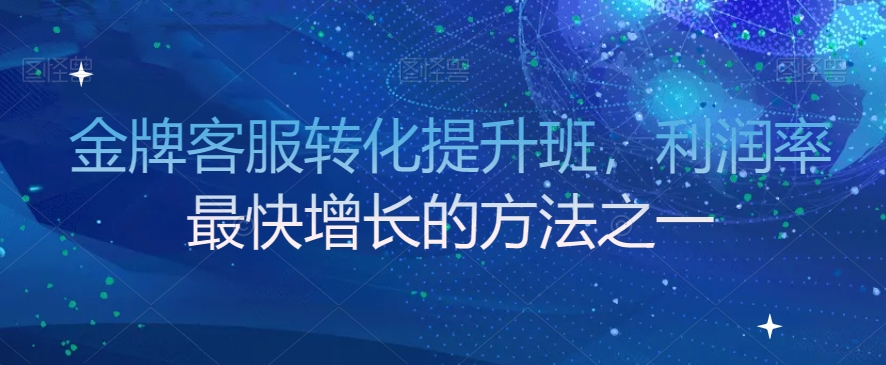 金牌客服转化提升班，利润率最快增长的方法之一-摸金项目网