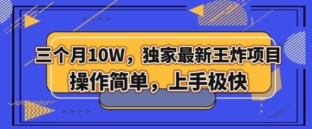 三个月10W，独家最新王炸项目！操作简单，上手极快【揭秘】-摸金项目网