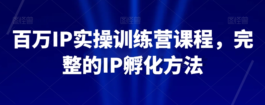 百万IP实操训练营课程，完整的IP孵化方法-摸金项目网