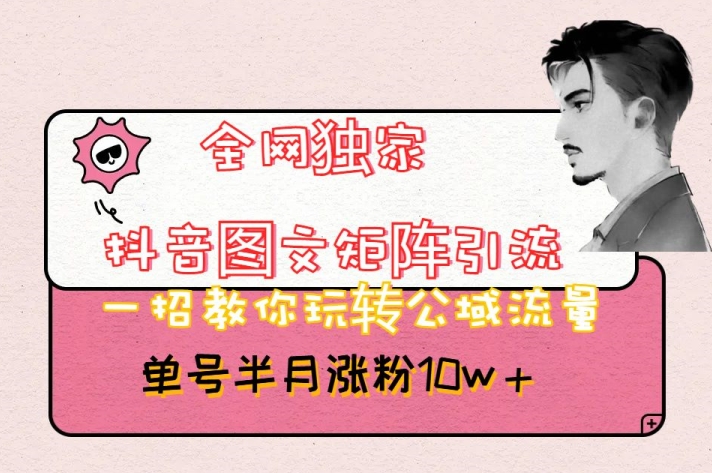全网独家抖音图文矩阵引流，一招教你玩转公域流量，单号半月涨粉10w+【揭秘】-摸金项目网