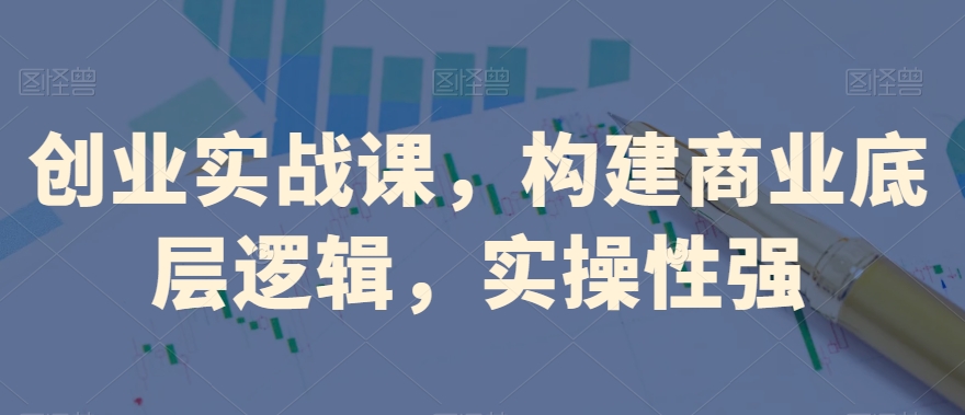 创业实战课，​构建商业底层逻辑，实操性强-摸金项目网