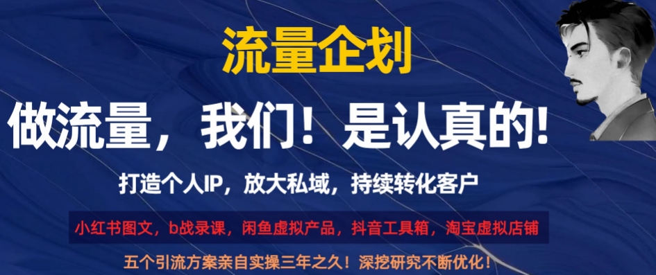 流量企划，打造个人IP，放大私域，持续转化客户【揭秘】-摸金项目网