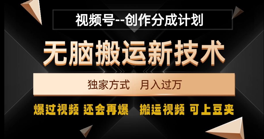 视频号无脑搬运新技术，破原创壕流量，独家方式，爆过视频，还会再爆【揭秘】-摸金项目网