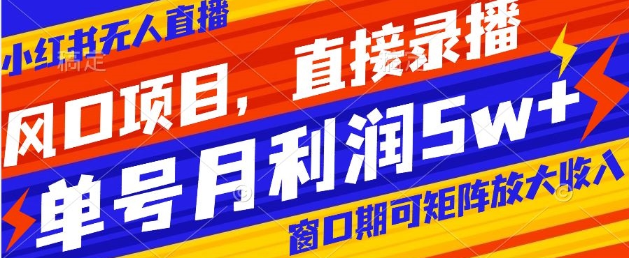 风口项目，小红书无人直播带货，直接录播，可矩阵，月入5w+【揭秘】-摸金项目网