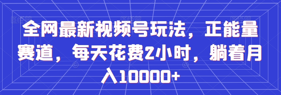 全网最新视频号玩法，正能量赛道，每天花费2小时，躺着月入10000+【揭秘】-摸金项目网