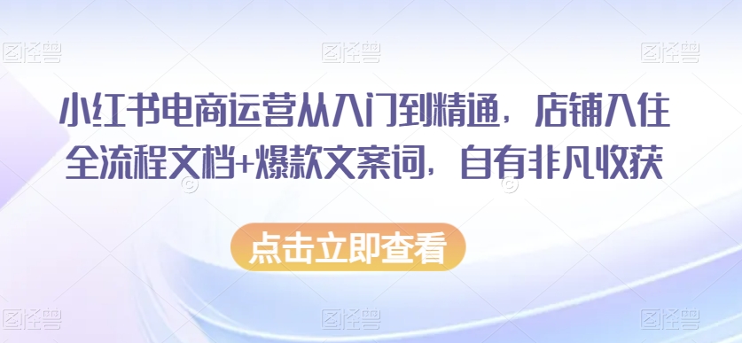 小红书电商运营从入门到精通，店铺入住全流程文档+爆款文案词，自有非凡收获-摸金项目网