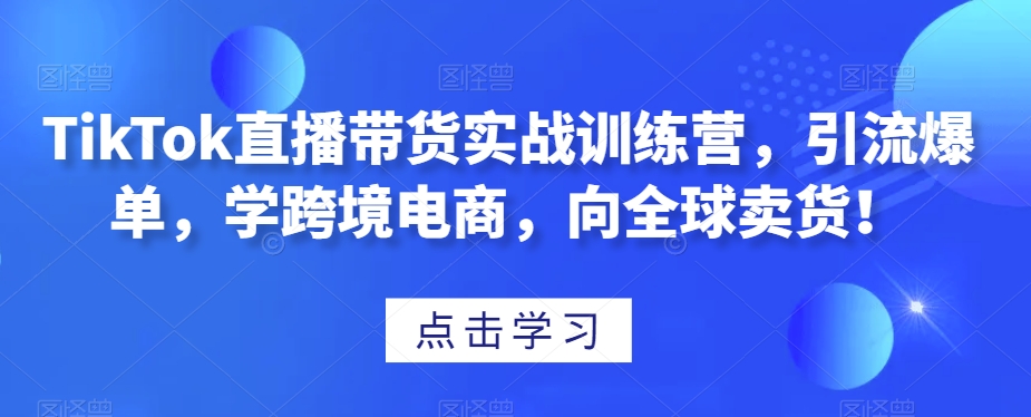 TikTok直播带货实战训练营，引流爆单，学跨境电商，向全球卖货！-摸金项目网