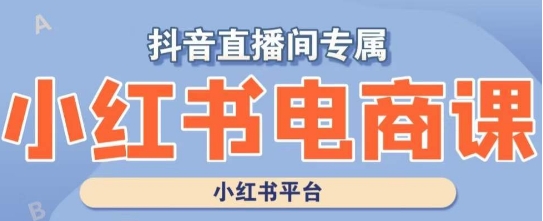 小红书电商高级运营课程，实操教学+案例分析-摸金项目网