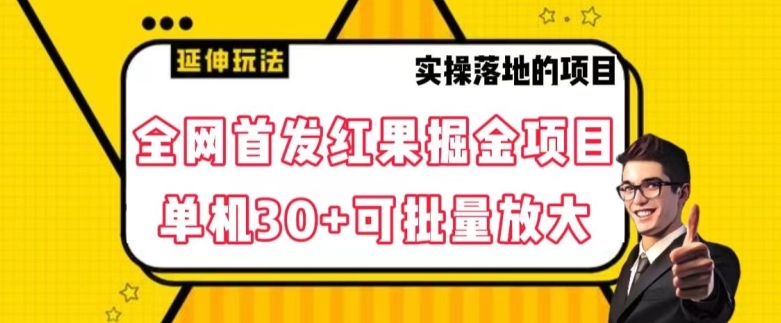 全网首发红果免费短剧掘金项目，单机30+可批量放大【揭秘】-摸金项目网