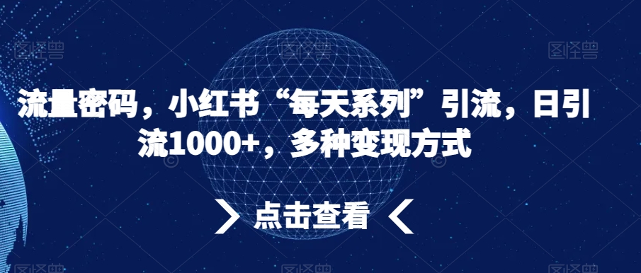 流量密码，小红书“每天系列”引流，日引流1000+，多种变现方式【揭秘】-摸金项目网
