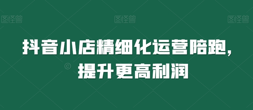 抖音小店精细化运营陪跑，提升更高利润-摸金项目网