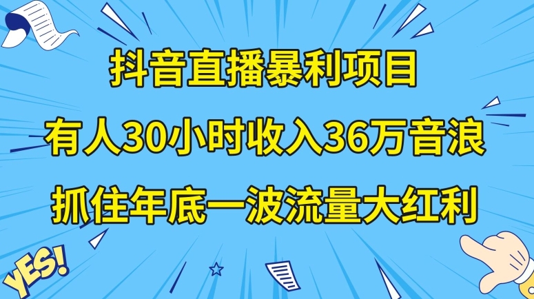 抖音直播暴利项目，有人30小时收入36万音浪，公司宣传片年会视频制作，抓住年底一波流量大红利【揭秘】-摸金项目网