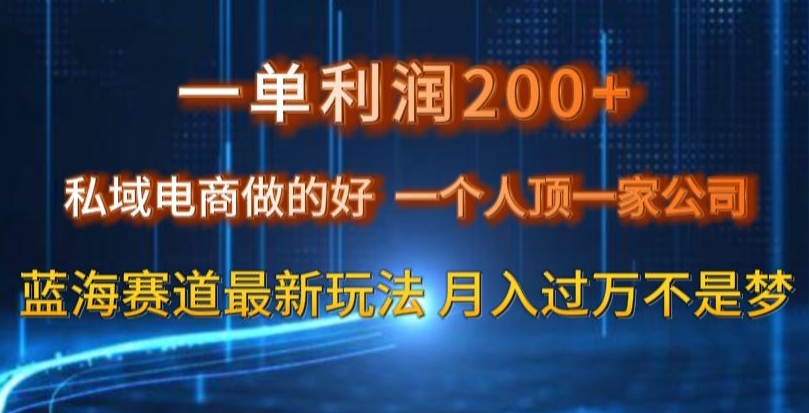 一单利润200私域电商做的好，一个人顶一家公司蓝海赛道最新玩法【揭秘】-摸金项目网