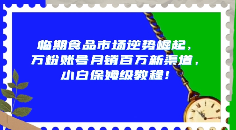 临期食品市场逆势崛起，万粉账号月销百万新渠道，小白保姆级教程【揭秘】-摸金项目网