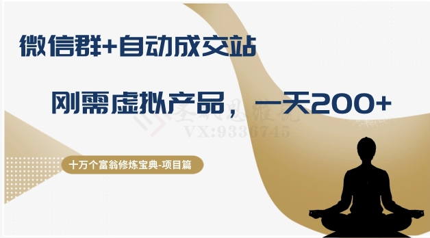 十万个富翁修炼宝典之8.微信群+自动成交站，刚需虚拟产品，一天200+-摸金项目网