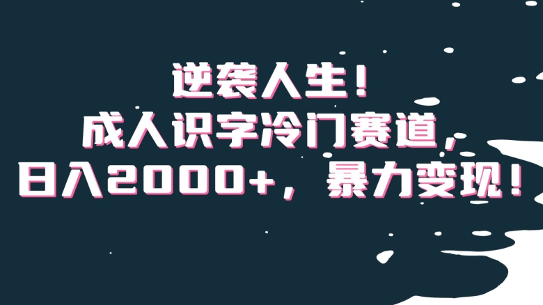 逆袭人生！成人识字冷门赛道，日入2000+，暴力变现！【揭秘】-摸金项目网