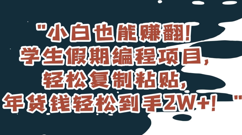 小白也能赚翻！学生假期编程项目，轻松复制粘贴，年货钱轻松到手2W+【揭秘】-摸金项目网