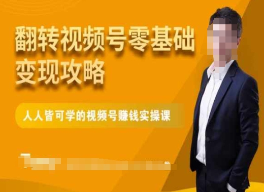 微信视频号零基础变现攻略，人人皆可学的视频号赚钱实操课-摸金项目网