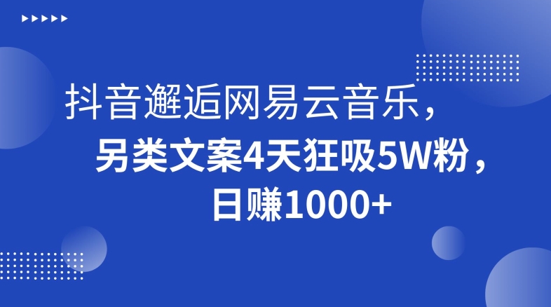 抖音邂逅网易云音乐，另类文案4天狂吸5W粉，日赚1000+【揭秘】-摸金项目网