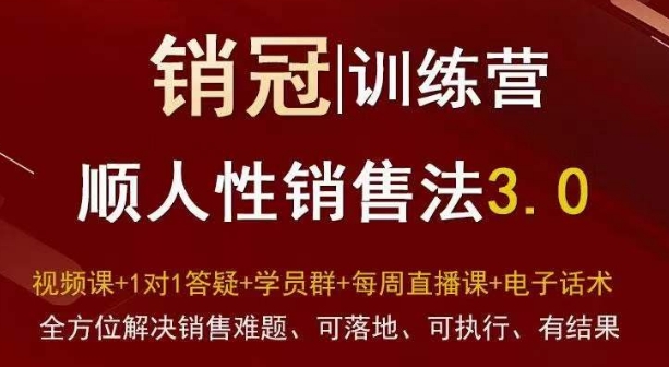 爆款！销冠训练营3.0之顺人性销售法，全方位解决销售难题、可落地、可执行、有结果-摸金项目网