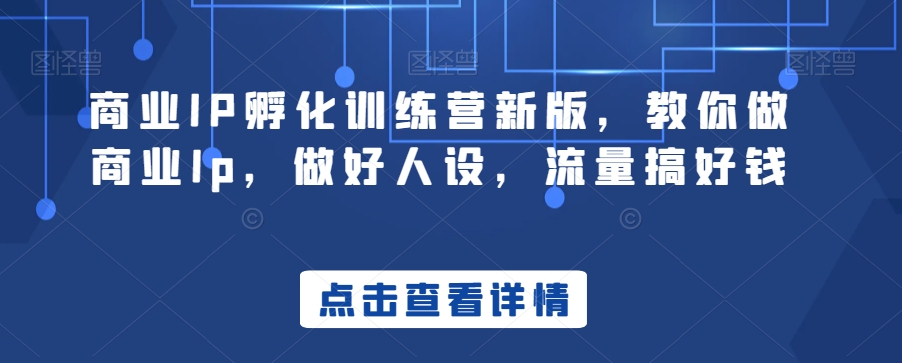 商业IP孵化训练营新版，教你做商业Ip，做好人设，流量搞好钱-摸金项目网
