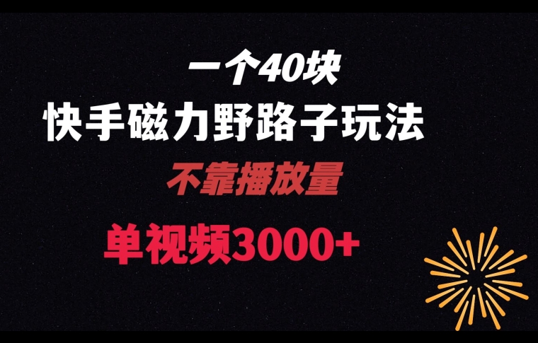 一个40块，快手联合美团磁力新玩法，无视机制野路子玩法，单视频收益4位数【揭秘】-摸金项目网