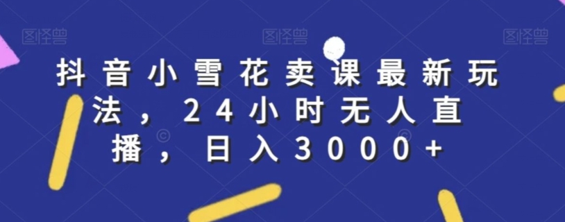 抖音小雪花卖课最新玩法，24小时无人直播，日入3000+【揭秘】-摸金项目网