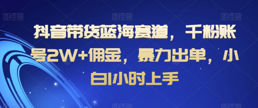 抖音带货蓝海赛道，千粉账号2W+佣金，暴力出单，小白1小时上手【揭秘】-摸金项目网