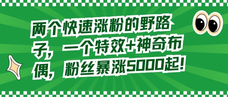 两个快速涨粉的野路子，一个特效+神奇布偶，粉丝暴涨5000起【揭秘】-摸金项目网