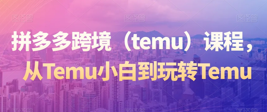 拼多多跨境（temu）课程，从Temu小白到玩转Temu-摸金项目网